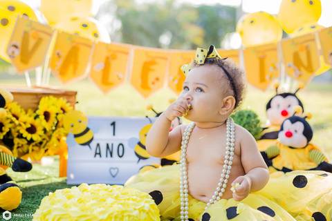 smash the cake-smash the cake abelinha-smash the cake menina-smash the cake bh-fotografa bh '