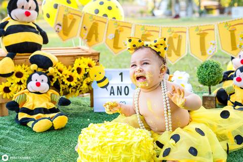 smash the cake-smash the cake abelinha-smash the cake menina-smash the cake bh-fotografa bh '