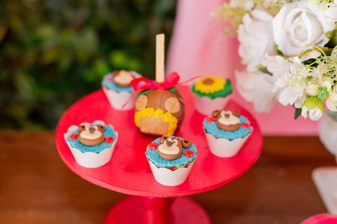 Masha e o Urso-festa Masha e o Urso -festa infantil bh-festa de menina-3 anos- laura-laura faz 3-mae da laura-festa de crianca- decoracao festa infantil -decoracao festa infantil bh - decoracao Masha e o Urso -jhulli tatagibafotografia'