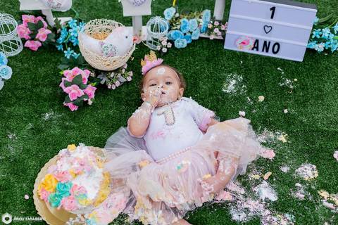 smashthecake-smashthecakejardim-smashthecakejardimdospassaros-smashthecakejardimdasborboletas-smashthecakeexterno-smashthecakebh-smashthecakejardimexterno-julia-1aninho-cakesmash-ensaiode1ano-maedemenina-1anojulia-ensaioinfantil-jhullitatttagibafotografia'