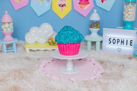 sophie-smashthecake-smahsthecakebh-smashthecakerosa-smashthecakeguloseimas-smashthecakemenina-smashthecakerj-smashthecakesp-cakesmashbh-ensaiode1ano-maedemenina-fotografia1ano-festainfantilbh-jhullitatagibaofotografia'