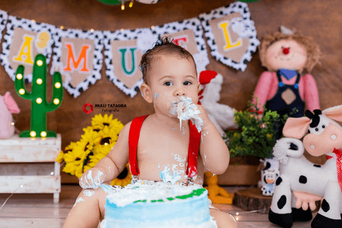 smashthecakebh-smashthecakefazendinha-smashthecakefazenda-fazendinha-1anofazendinha-fazendinhademenino-smashthecakemenino-smashthecakeestudio-cakesmash-festa1ano-jhullitatagibafotografia-tatagibafotografia'
