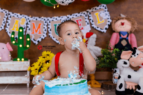 smashthecakebh-smashthecakefazendinha-smashthecakefazenda-fazendinha-1anofazendinha-fazendinhademenino-smashthecakemenino-smashthecakeestudio-cakesmash-festa1ano-jhullitatagibafotografia-tatagibafotografia'