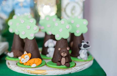 festainfantil-festainfantilbh-buffetinfantilbh-cachinhosdourados-festacachinhosdourados-cachinhosdouradoseostresursos-buffetinfantil-partydecorcachinhosdourados-jhullitatagibafografia'