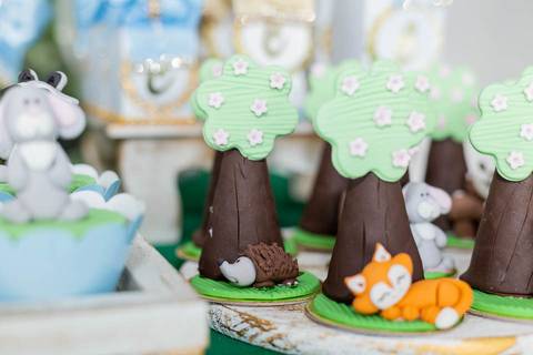 festainfantil-festainfantilbh-buffetinfantilbh-cachinhosdourados-festacachinhosdourados-cachinhosdouradoseostresursos-buffetinfantil-partydecorcachinhosdourados-jhullitatagibafografia'