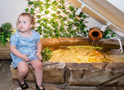 festainfantil-festainfantilbh-buffetinfantilbh-cachinhosdourados-festacachinhosdourados-cachinhosdouradoseostresursos-buffetinfantil-partydecorcachinhosdourados-jhullitatagibafografia'