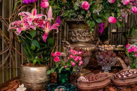 fotografia de decoração do almoço da futura residente em medicina Dra Andreia Farias, fotografo de rondonopolis Sergio Simoes'