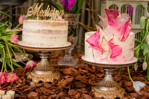 fotografia de decoração do almoço da futura residente em medicina Dra Andreia Farias, fotografo de rondonopolis Sergio Simoes'
