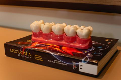 Fotografia de retrato corporativo, fotos empresarial, fotografia corporativa, Dra Thalita Porto dentista, fotografo de retrato profissional Sergio Simões de Rondonópolis Mato Grosso  '