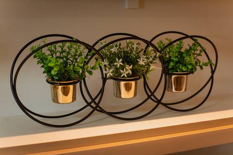 Fotografia de retrato corporativo, fotos empresarial, fotografia corporativa, Dra Thalita Porto dentista, fotografo de retrato profissional Sergio Simões de Rondonópolis Mato Grosso  '