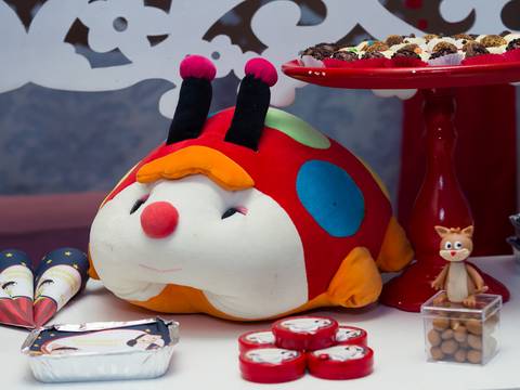 Joaninha de pelúcia na decoração Tema Show da Luna pelo fotógrafo Douglas Maia'