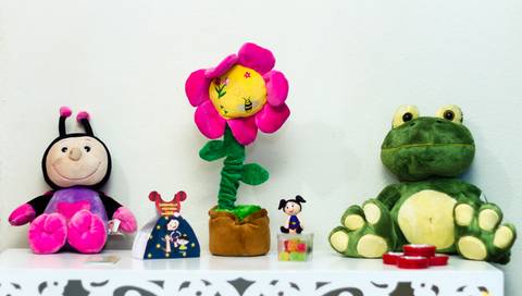 Bichinhos de pelúcia na decoração Tema Show da Luna pelo fotógrafo Douglas Maia'