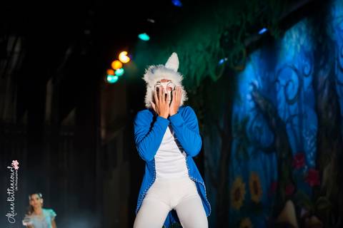 Ballet - Alice no País das Maravilhas'