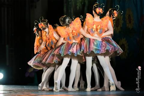 Ballet - Alice no País das Maravilhas'