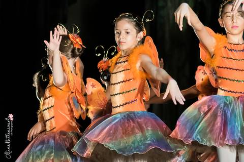 Ballet - Alice no País das Maravilhas'