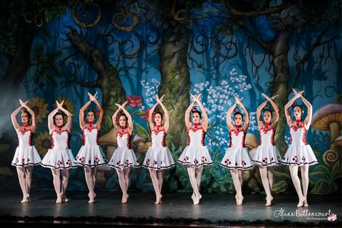 Ballet - Alice no País das Maravilhas'