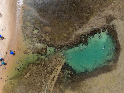 condominio-vila-dos-ipês-praia-do-forte-ba'