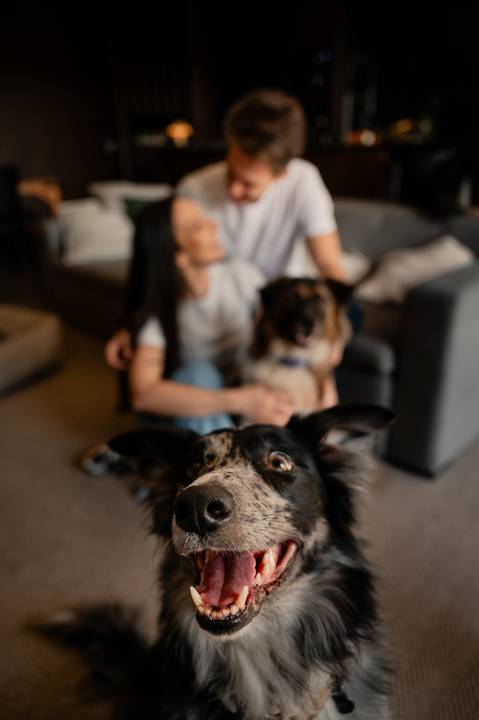 '
