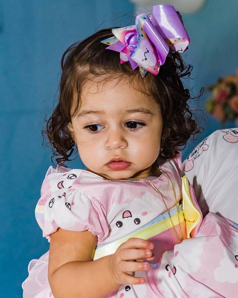 Aniversário de 1 ano da Sophia'