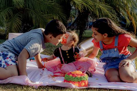 Cake Smash da Helena, feito numa linda tarde de sol no Parque da Cidade da Serra/ES.'