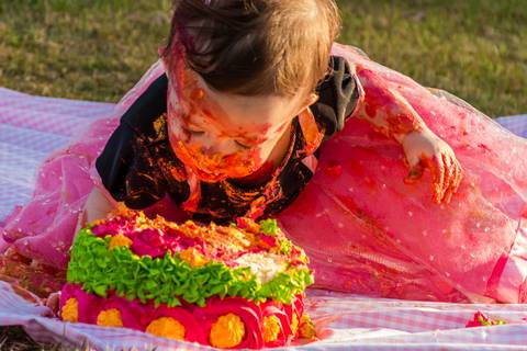 Cake Smash da Helena, feito numa linda tarde de sol no Parque da Cidade da Serra/ES.'