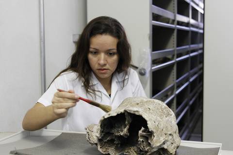 ROCHAS MINERAIS E FÓSSEIS'