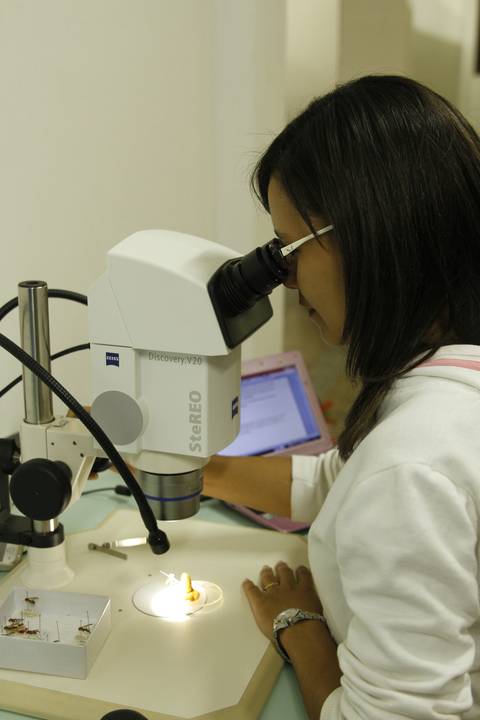 COORDENAÇÃO DE INFORMAÇÃO E DOCUMENTAÇÃO'