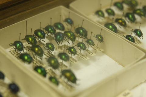 COORDENAÇÃO DE INFORMAÇÃO E DOCUMENTAÇÃO'