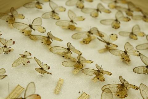 COORDENAÇÃO DE INFORMAÇÃO E DOCUMENTAÇÃO'