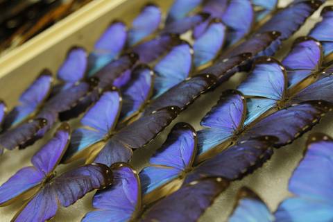 COORDENAÇÃO DE INFORMAÇÃO E DOCUMENTAÇÃO'