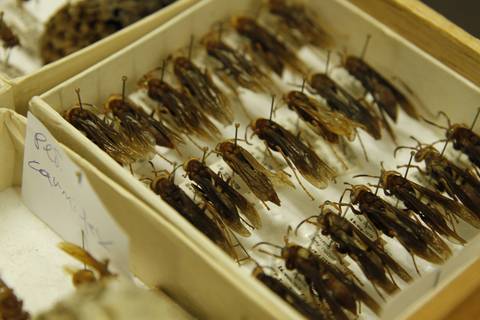 COORDENAÇÃO DE INFORMAÇÃO E DOCUMENTAÇÃO'