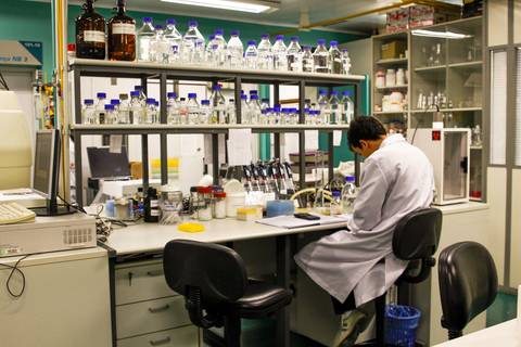 LABORATÓRIO DE BIOLOGIA MOLECULAR'