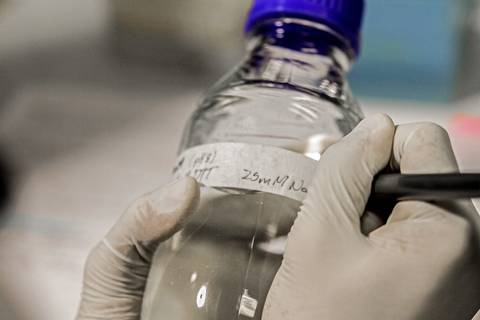 LABORATÓRIO DE BIOLOGIA MOLECULAR'