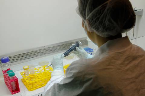 LABORATÓRIO DE BIOLOGIA MOLECULAR'