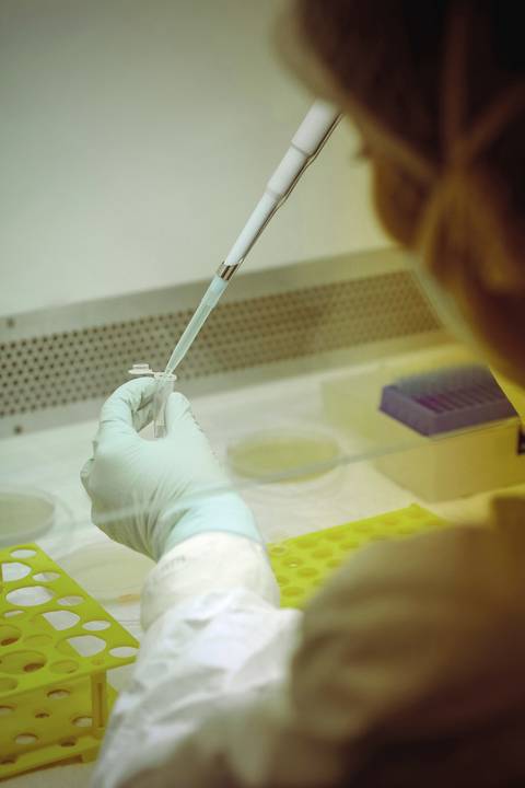 LABORATÓRIO DE BIOLOGIA MOLECULAR'