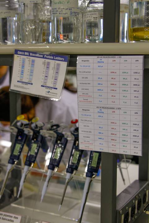 LABORATÓRIO DE BIOLOGIA MOLECULAR'