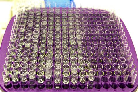 LABORATÓRIO DE BIOLOGIA MOLECULAR'