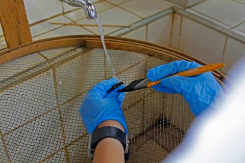 ACERVO ARQUEOLÓGICO'