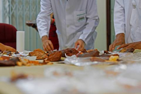 ACERVO ARQUEOLÓGICO'