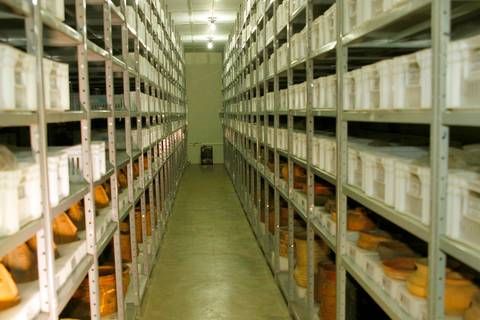 ACERVO ARQUEOLÓGICO'