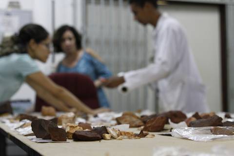 ACERVO ARQUEOLÓGICO'