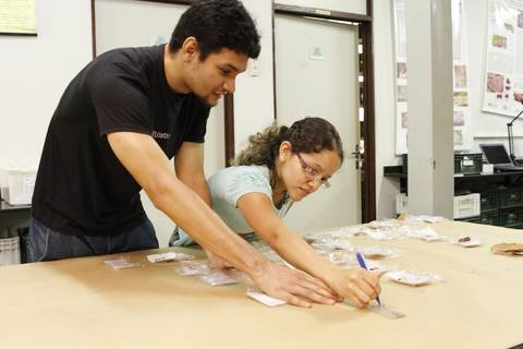 ACERVO ARQUEOLÓGICO'