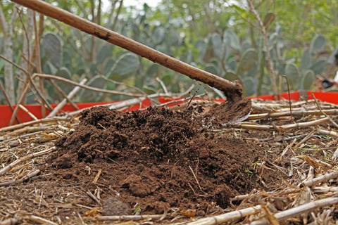 AGROECOSSISTEMAS RESILIENTES NO SEMIÁRIDO'