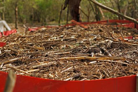 AGROECOSSISTEMAS RESILIENTES NO SEMIÁRIDO'