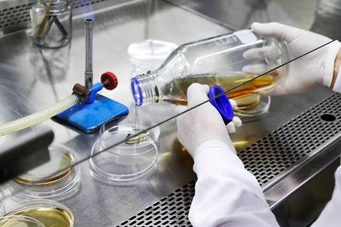 BIOFÁBRICA - CETENE'