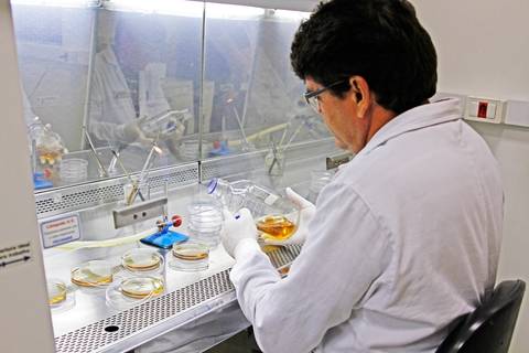 BIOFÁBRICA - CETENE'