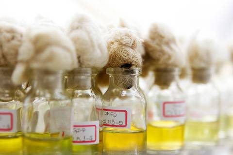 BIOFÁBRICA - CETENE'