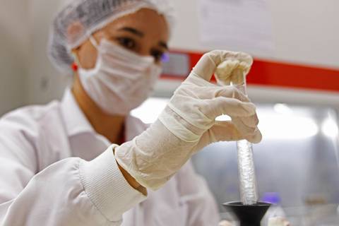 BIOFÁBRICA - CETENE'