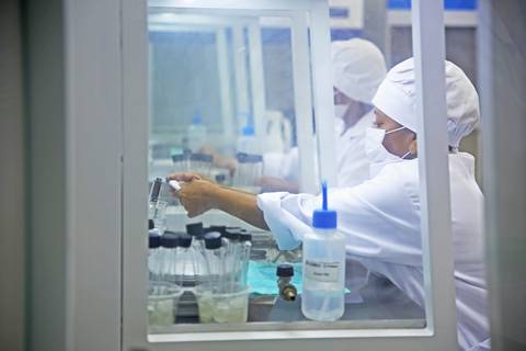 BIOFÁBRICA - CETENE'