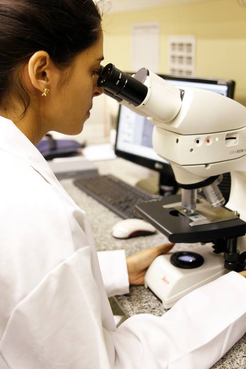 ECOLOGIA FLORESTAL  - IDSM - (INSTITUTO MAMIRAUÁ) - TEFÉ'